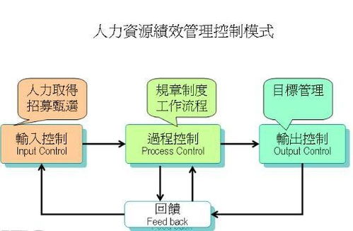 人力資源管理模式與人力資源管理咨詢